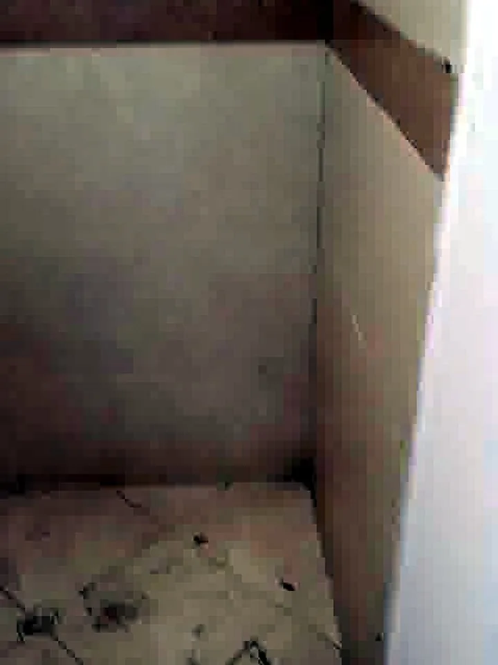 Antes