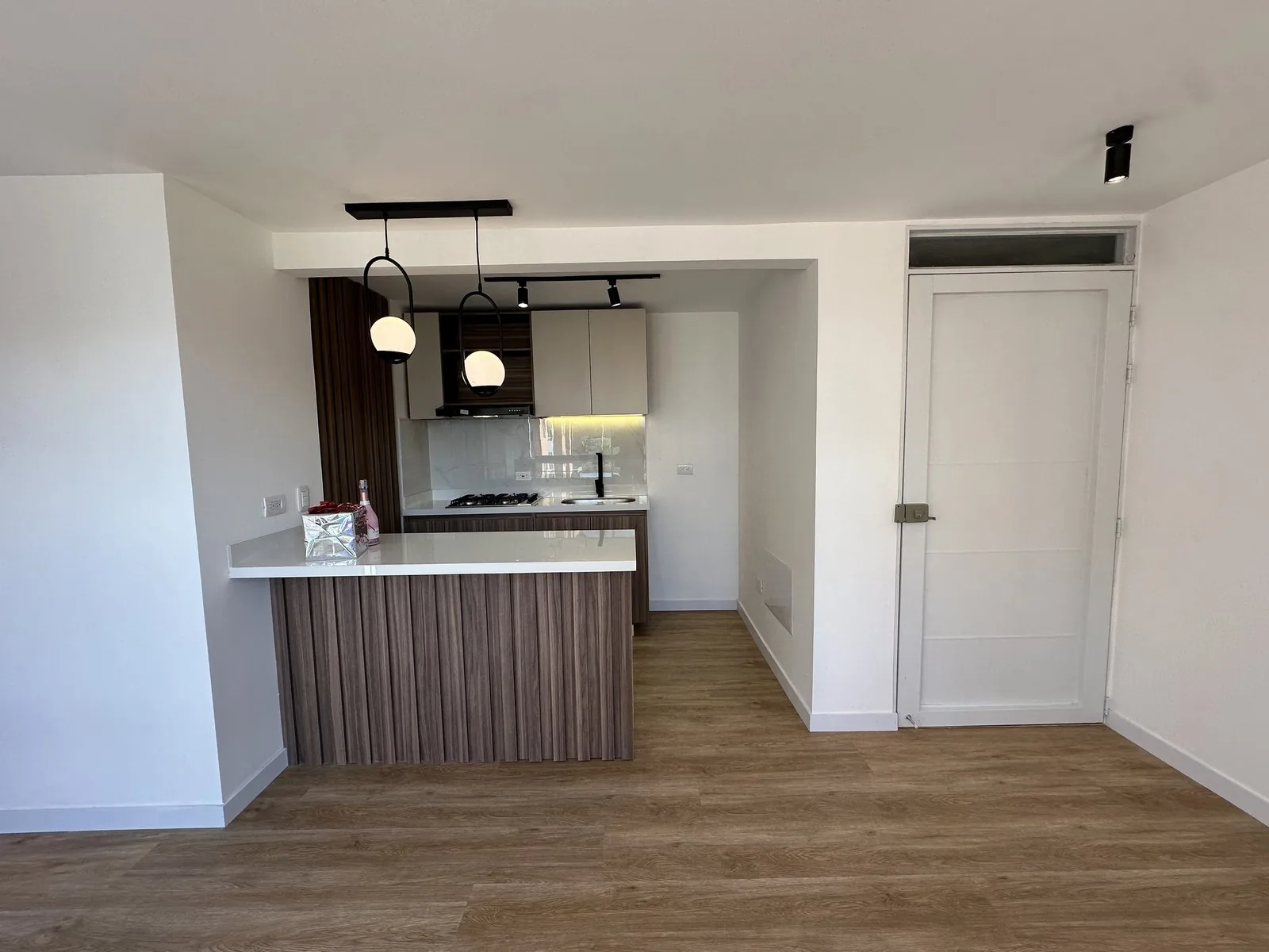Sala-comedor y cocina abierta